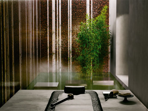 Bamboo in black