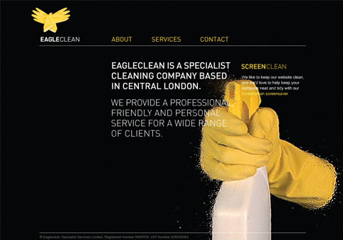 Eagle Clean website featuring the cleaning company’s logo